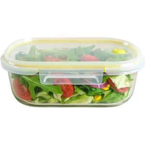 Neoflam 2 Compartment Glass Food Container with Airtight Lid – Divided Oval Bento Lunch Box with Vent, Reusable Meal Prep Storage, Microwave, Oven & Dishwasher Safe (37 oz, 1.1 Liter, 4.6 cups)(39oz)